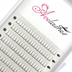 Premade 3D volume lash fans factory D curl 12mm