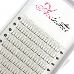 Wholesale fan volume lashes supplier D curl 13mm