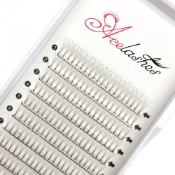 High quality wholesale pre fan 3D volume lashes D curl 14mm