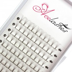 Hot selling pre fan 6D lashes D Curl 12mm