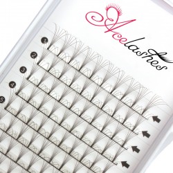 Quality pre made 6D lashes D Curl 13mm