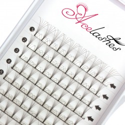 Quality pre made 6D lashes D Curl 13mm