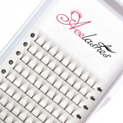 Wholesale pre fan 6D lashes C Curl 10mm