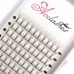 Wholesale premade 6D fan lashes D Curl 14mm