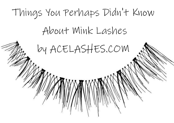 about mink lashes